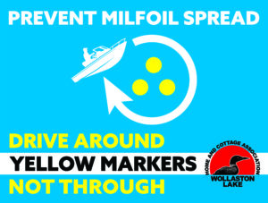 Prevent Milfoil spread