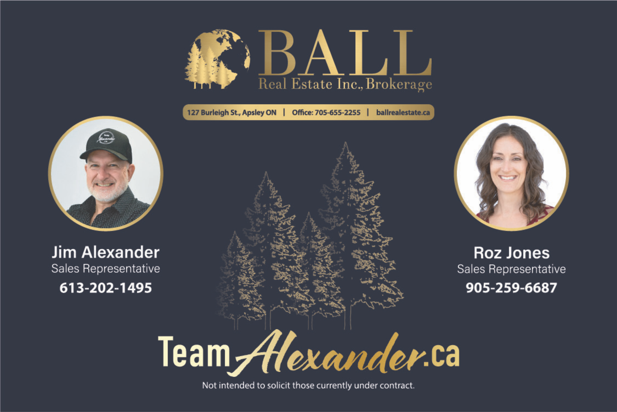 Team Alexander Ball Real Estate