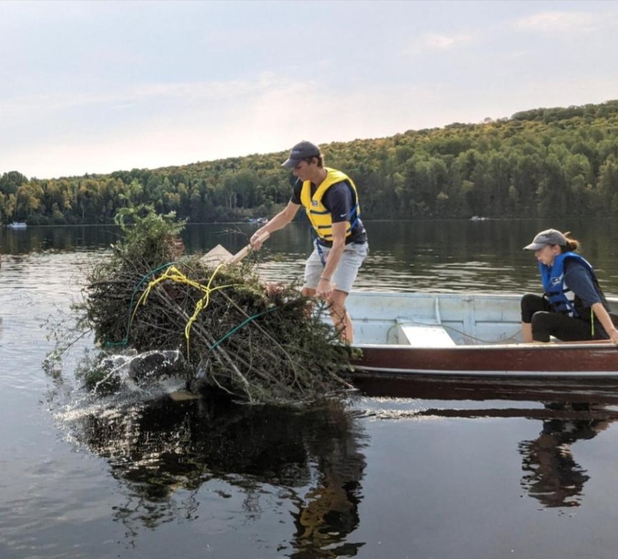 Brushpile helps create an area that fish can hide in