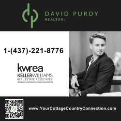 David Purdy logo